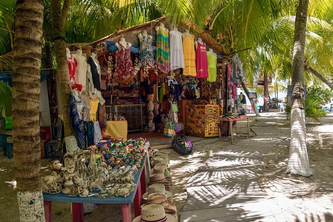 Cozumel Shore Excursion: 5-Hour Sightseeing Tour with Private Driver - What the private van format really gives you