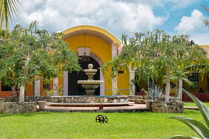 Cozumel Shore Excursion: 5-Hour Sightseeing Tour with Private Driver - Timing, meeting points, and cruise-ship safety