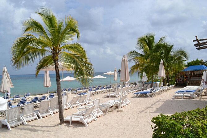 Cozumel Shore Excursion: Playa Uvas Private Beach Pass - What happens during the guided snorkel