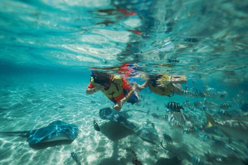 Cozumel: Snorkel and Swim with Stingrays - Meeting the rays in waist-deep water