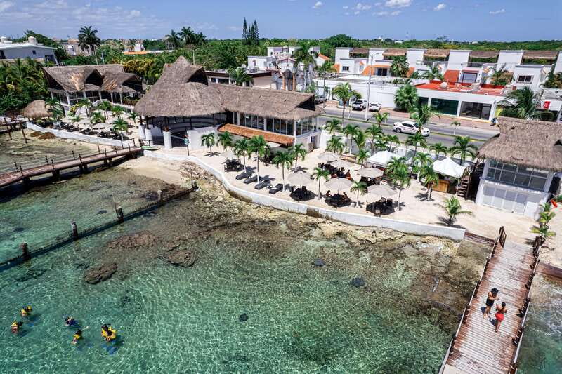 Cozumel: Snorkel and Swim with Stingrays - The 800-coral installation