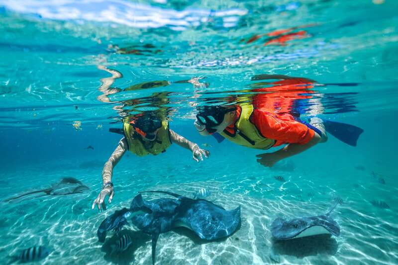 Cozumel: Snorkel and Swim with Stingrays - Is $58 a fair price?