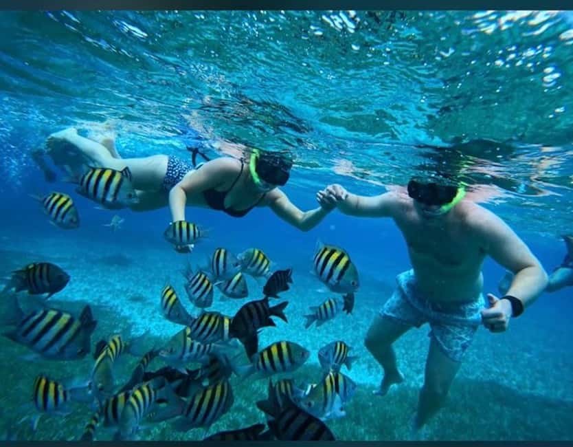 Cozumel: snorkeling on reefs + visit to "El Cielo" - Three Cozumel water worlds in four hours