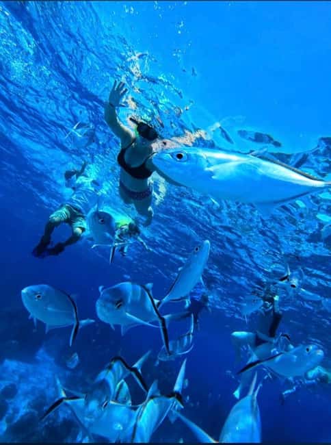 Cozumel: snorkeling on reefs + visit to "El Cielo" - Palancar Reef, coral formations and fish