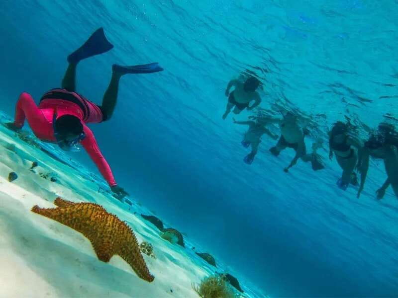 Cozumel: snorkeling on reefs + visit to "El Cielo" - Price, payment, and what the deal really includes