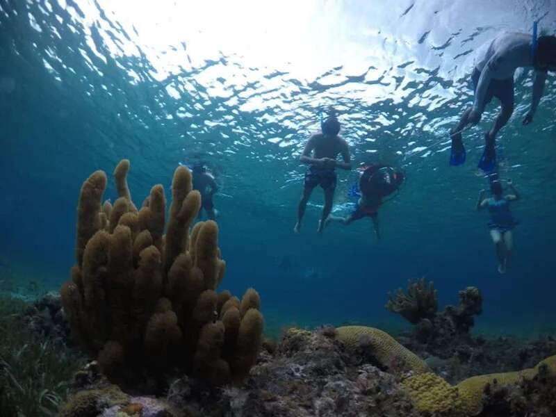 Cozumel: snorkeling on reefs + visit to "El Cielo" - Meeting at the Fiscal Pier