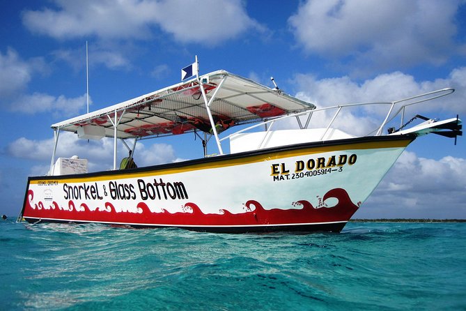 Cozumel Snorkeling Tour at Palancar & Colombia Reefs and El Cielo - Timing is the main tradeoff