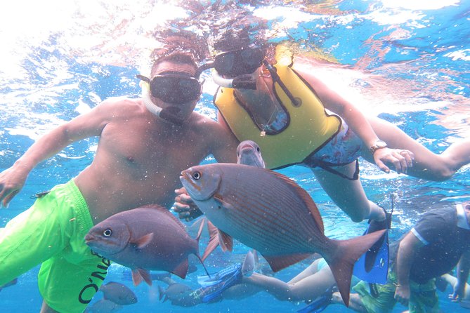 Cozumel Snorkeling Tour at Palancar & Colombia Reefs and El Cielo - Who should book this Cozumel snorkeling tour?