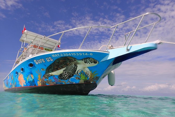 Cozumel Snorkeling Tour at Palancar & Colombia Reefs and El Cielo - Palancar Reef offers the broadest underwater show