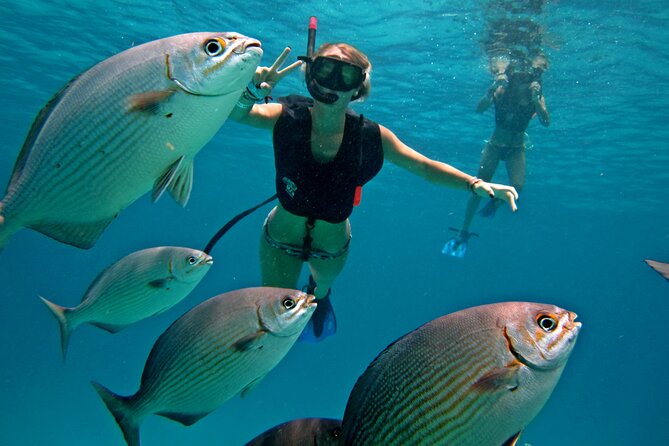 Cozumel Snorkeling Tour: Palancar, Columbia and El Cielo Reefs - Key points to know before booking
