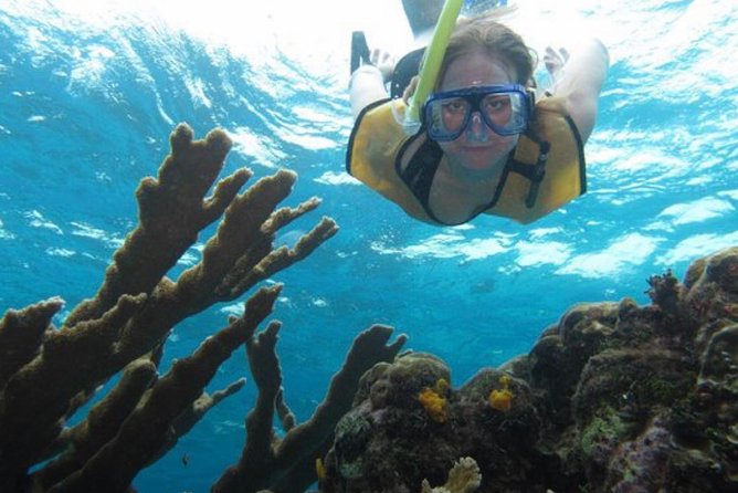 Cozumel Snorkeling Tour: Palancar, Columbia and El Cielo Reefs - Columbia Reef brings more coral scenery