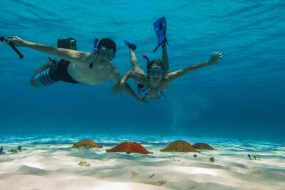 Cozumel Snorkeling Tour: Palancar, Columbia and El Cielo Reefs