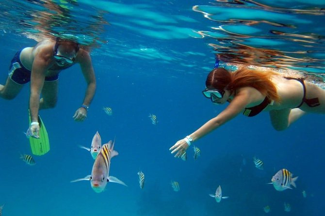 Cozumel Snorkeling Tour: Palancar, Columbia and El Cielo Reefs - A small group and a shaded boat