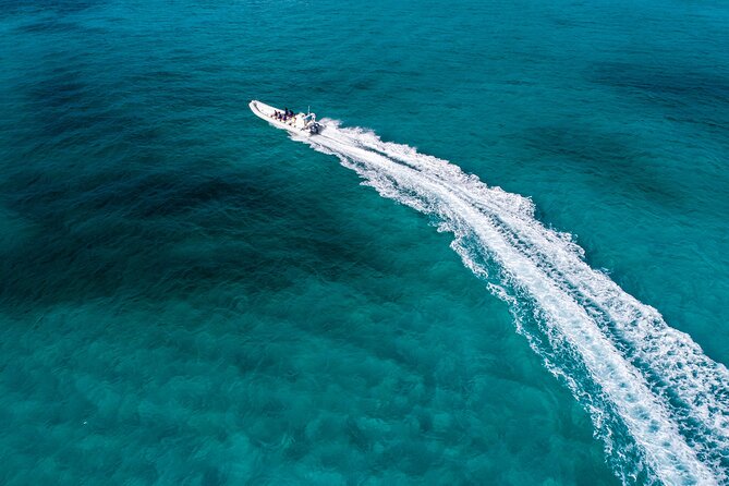 Cozumel Starfish and Tropical Reef Snorkeling by Powerboat with Lunch - Why the Cozumel Reefs Make This Trip Worth Considering