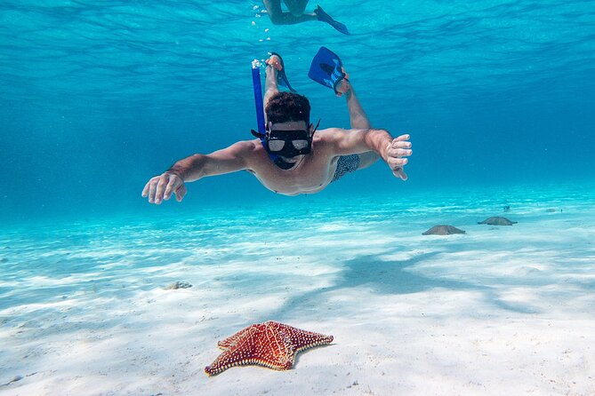 Cozumel Starfish and Tropical Reef Snorkeling by Powerboat with Lunch - What Happens on the Powerboat