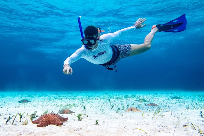 Cozumel Starfish and Tropical Reef Snorkeling by Powerboat with Lunch - Three Snorkel Stops With Different Depths