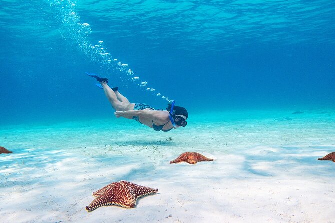 Cozumel Starfish and Tropical Reef Snorkeling by Powerboat with Lunch - Lunch, Snacks, and Time on the Boat