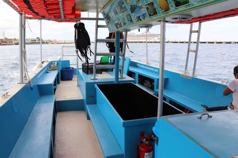 Cozumel: VIP Glass Bottom Boat & Snorkeling 3 Reefs Tour - Second Stop: Shallow Paradise Reef