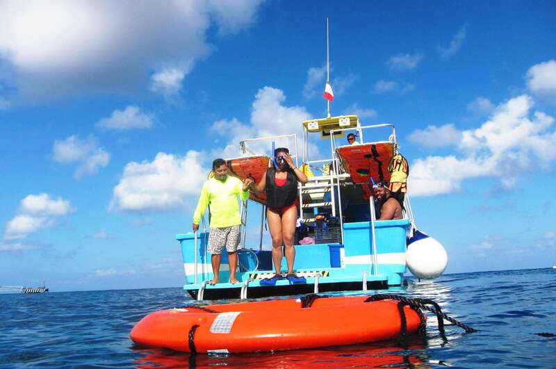 Cozumel: VIP Glass Bottom Boat & Snorkeling 3 Reefs Tour - Third Stop: Paradise Reef and the Most Varied Sea Life