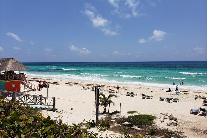 Customizable Private Buggy Tour in Cozumel with Lunch and Snorkel - Money Bar Beach Club combines lunch and snorkeling