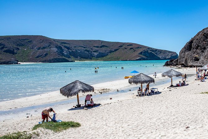 Day Trip to La Paz & Balandra Beach from Cabo San Lucas - The early start and the road north
