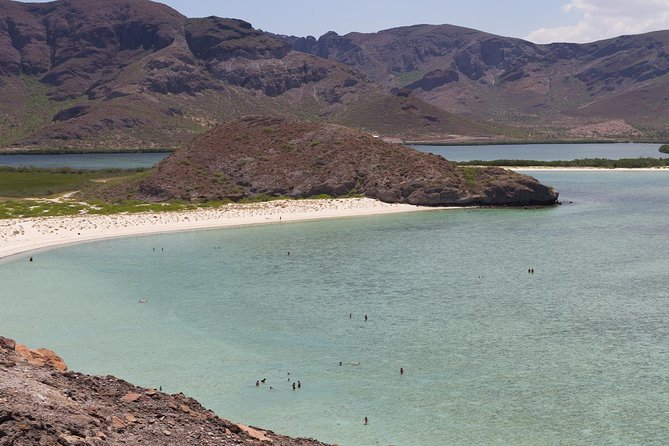 Day Trip to La Paz & Balandra Beach from Cabo San Lucas - Balandra Beach: beautiful, protected, and not guaranteed