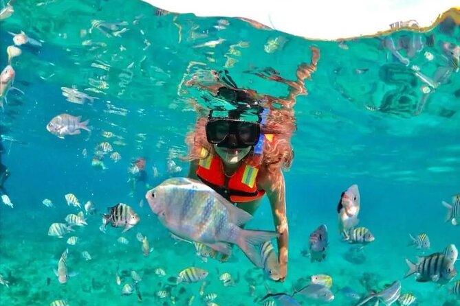 Deluxe Catamaran to Isla Mujeres with Open Bar from Cancun - The return sail to Cancun