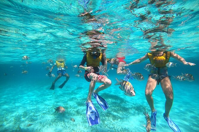 Deluxe Catamaran to Isla Mujeres with Open Bar from Cancun - Is $38.90 a good value?