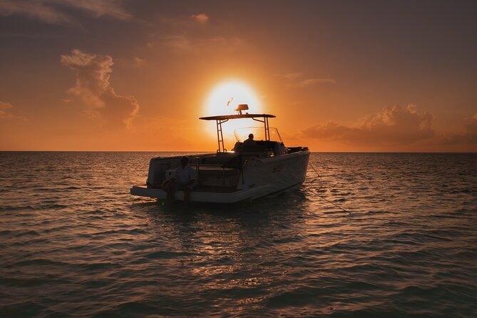 Deluxe Private Boats - 36 ft Fjord - Lunch is more than an afterthought