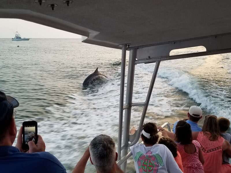 Destin: Dolphin Watching Cruise - Is $30 a fair price?