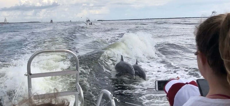 Destin: Dolphin Watching Cruise - Who will enjoy this cruise most?