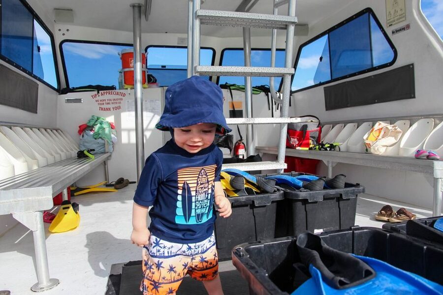 Destin: Dolphin Watching Cruise - Practical advice before you go