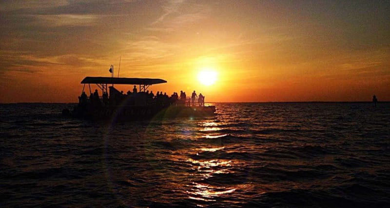 Destin: Dolphin Watching Cruise - Through the harbor and past waterfront homes