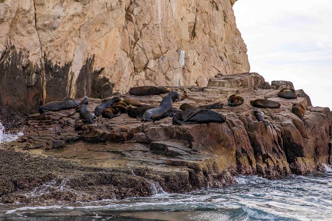 Dinner Cruise Tour in Cabo San Lucas with Tequila Tasting - Weather, comfort, and practical details