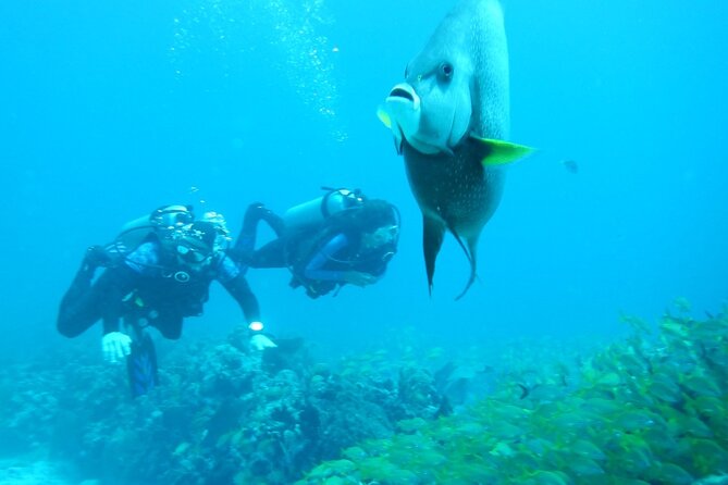 Discover Scuba - Health rules, flights, and physical demands