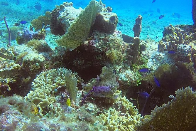 Discover Scuba Diving - What the experience feels like for children and families