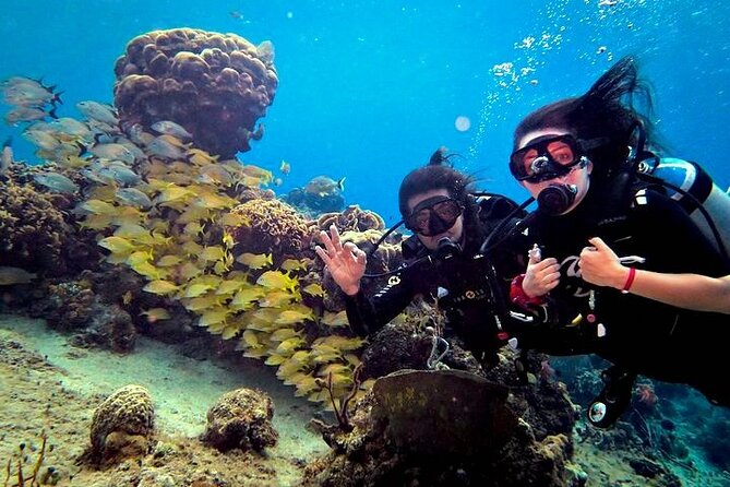 Discover Scuba Diving in Cozumel Paradise Reef - The second session and the best marine life