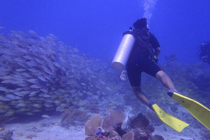 Discover Scuba - Learning the basics before reaching the reef