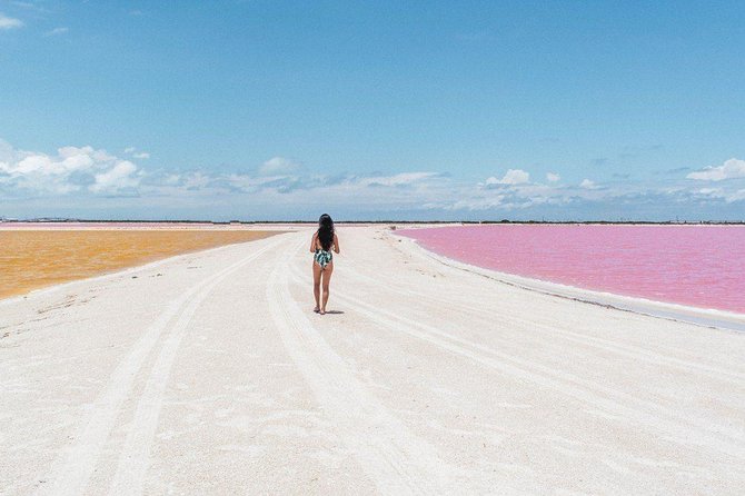 Discover the FABULOUS PINK WATERS at the Caribean (Las Coloradas+Río Lagartos) - The crocodile farm raises a fair question