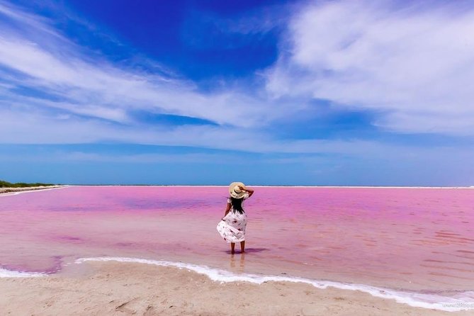 Discover the FABULOUS PINK WATERS at the Caribean (Las Coloradas+Río Lagartos) - The salt ponds and the first hour at Las Coloradas