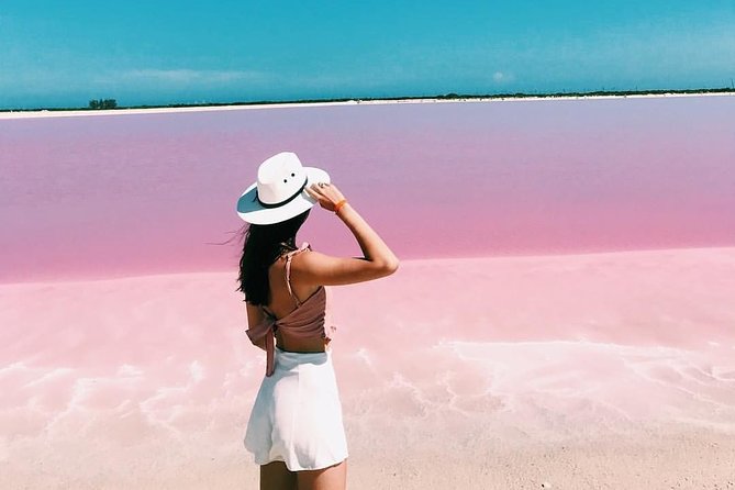 Discover the FABULOUS PINK WATERS in the Caribean - Key points before you reserve