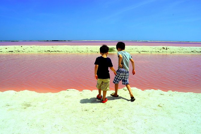 Discover the FABULOUS PINK WATERS in the Caribean - The crocodile farm deserves careful thought