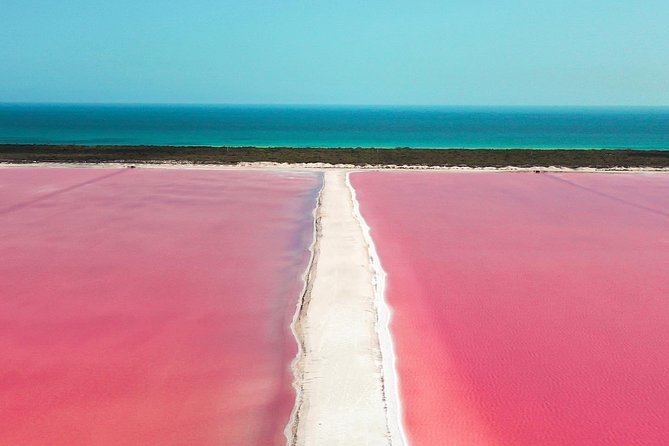 Discover the FABULOUS PINK WATERS in the Caribean - The guides can add real value