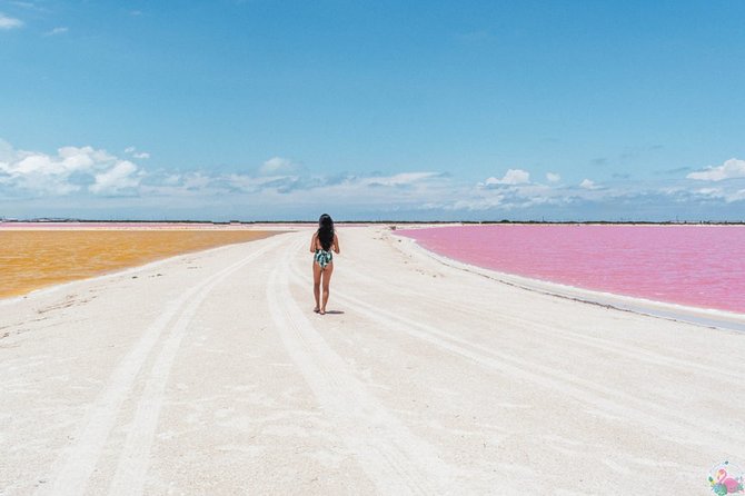 Discover the FABULOUS PINK WATERS in the Caribean - Who will enjoy this day most