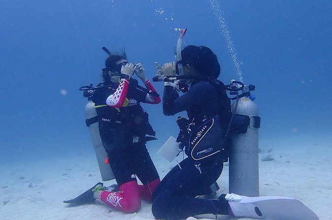 Discovery Scuba Dive. - Shallow-water practice is where confidence begins