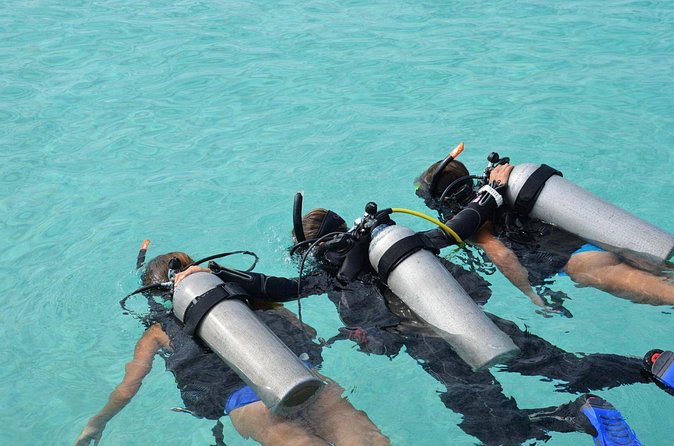 Discovery Scuba Dive. - What the underwater portion feels like