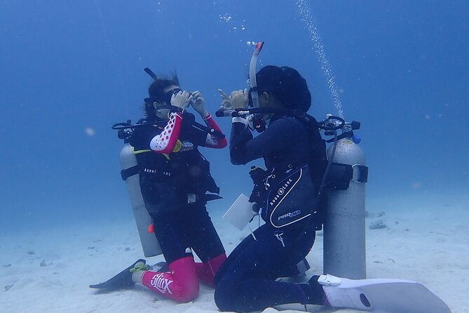 Discovery Scuba Dive. - The cruise-port timing problem deserves attention