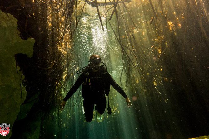 Discovery Scuba Diving !! - Why the eight-person limit matters