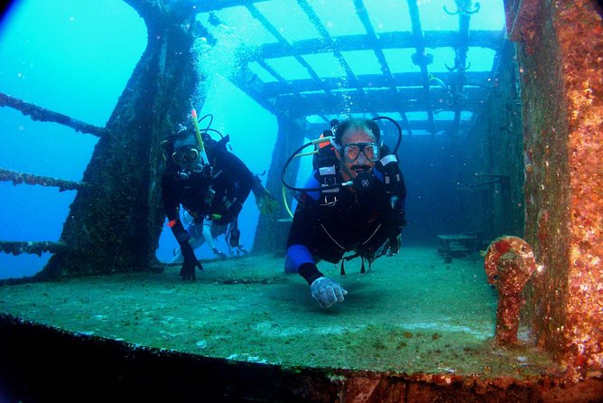 Diving in Cancun for Certified Divers | 2 Dives | All Inclusive - Why MUSA makes this Cancun outing different