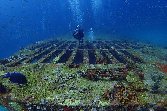 Diving in Cancun for Certified Divers | 2 Dives | All Inclusive - Comfort, equipment, and the small practical details